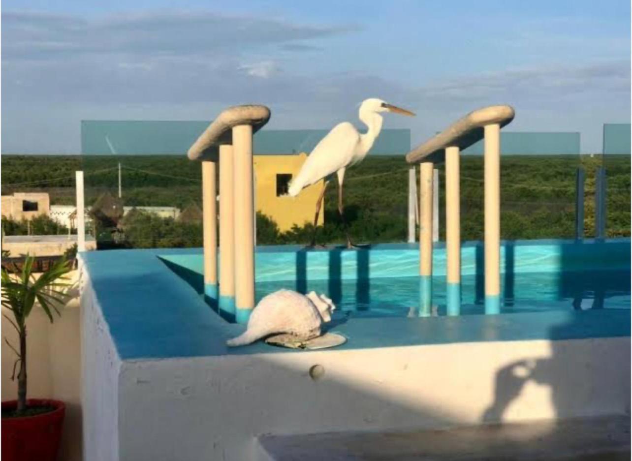 El Corazon Mexican0 ホルボックス島 エクステリア 写真